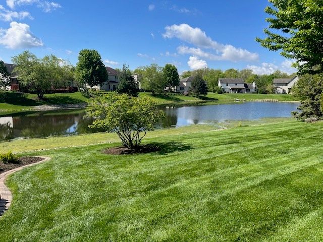 26525 S Lyndsay Drive, Channahon, IL 60410