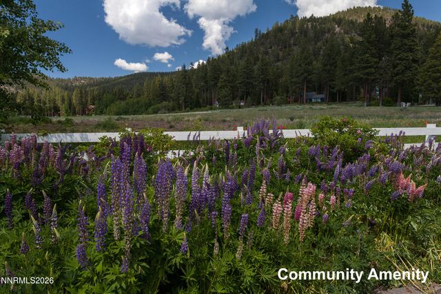 2147 The Back Road, Glenbrook, NV 89413