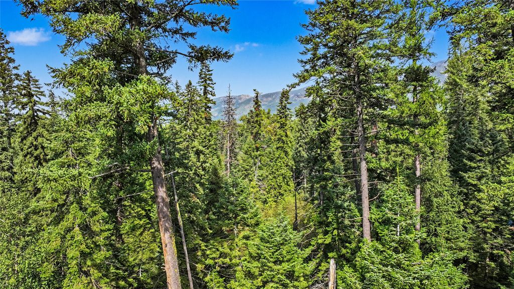 595 Wapiti Lane, Bigfork, MT 59911 photo 5