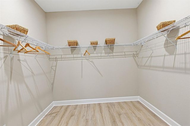 33332 CASTAWAY LOOP, Wesley Chapel, FL 33543