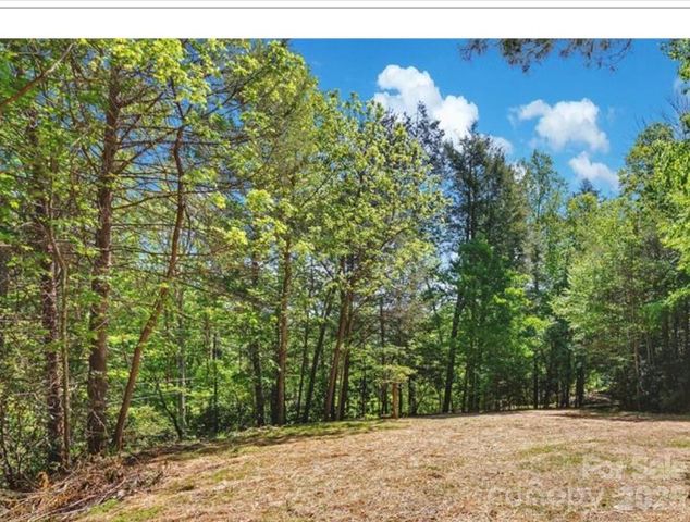 1127 Bee Tree Road, Swannanoa, NC 28778