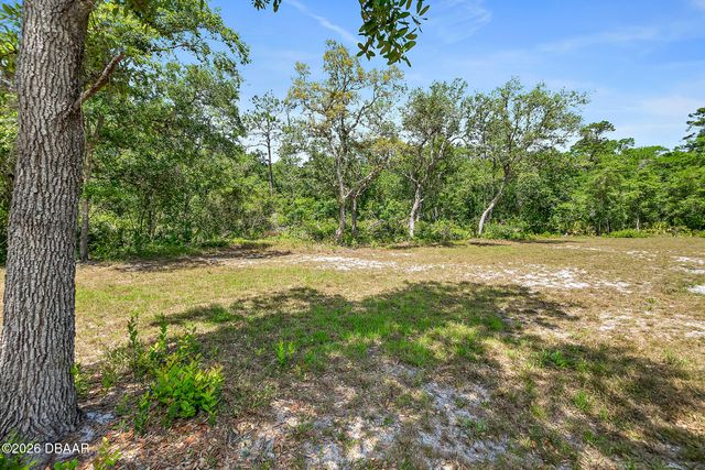 1370 Buckles Road, Pierson, FL 32180