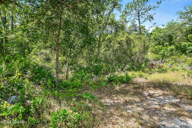 1370 Buckles Road, Pierson, FL 32180