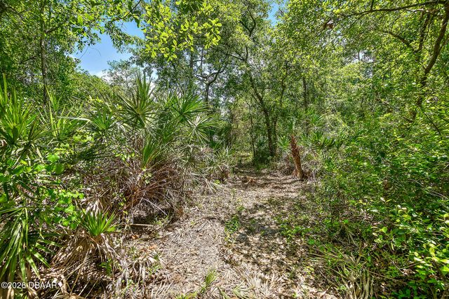 1370 Buckles Road, Pierson, FL 32180