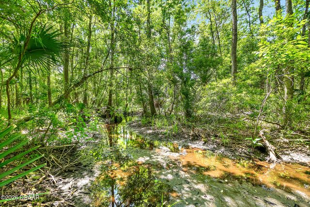 1370 Buckles Road, Pierson, FL 32180