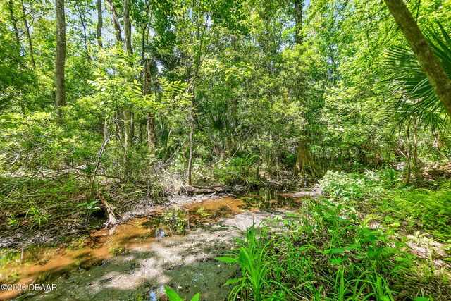 1370 Buckles Road, Pierson, FL 32180