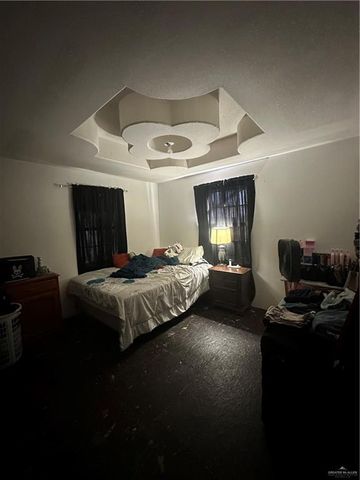 801 W Earling Road, Donna, TX 78537