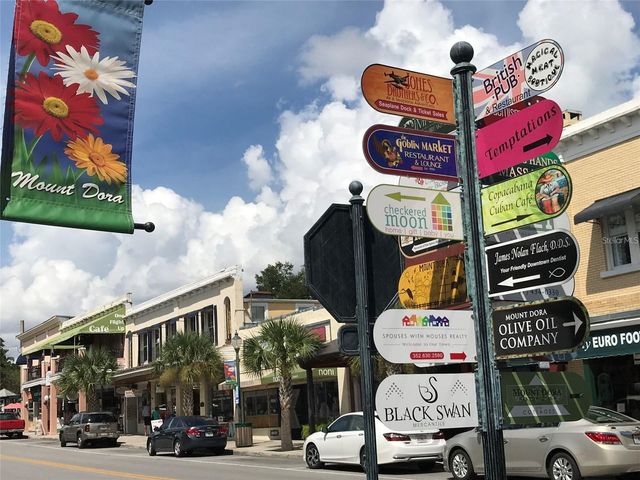 1051 S HIGHLAND STREET 4C, Mount Dora, FL 32757