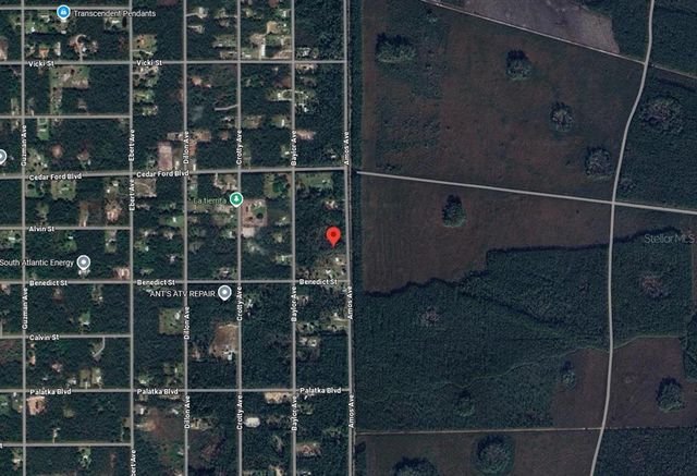 10445 AMOS AVENUE, Hastings, FL 32145
