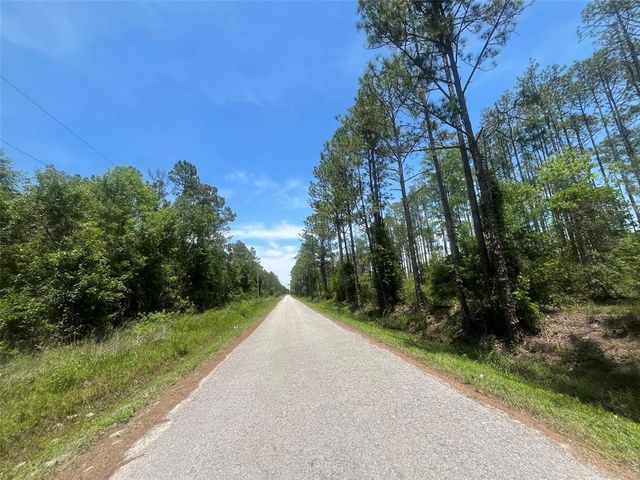 10445 AMOS AVENUE, Hastings, FL 32145