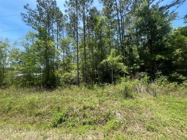 10445 AMOS AVENUE, Hastings, FL 32145