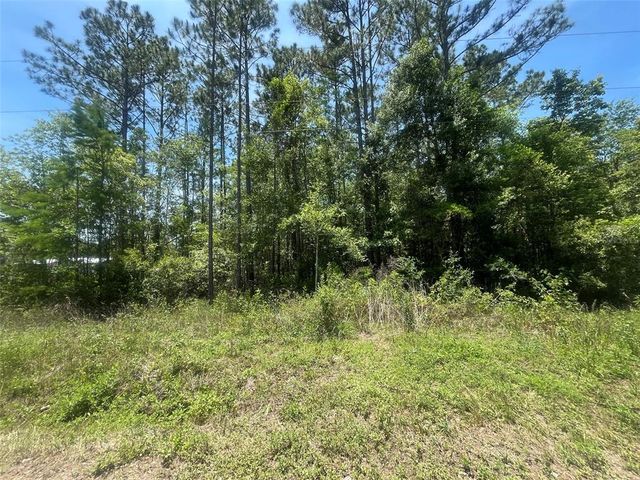 10445 AMOS AVENUE, Hastings, FL 32145
