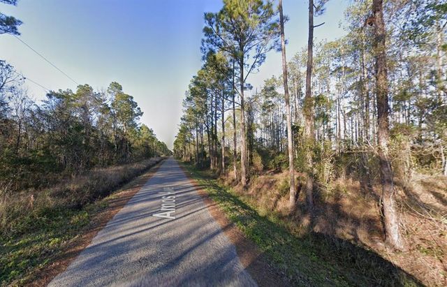 10445 AMOS AVENUE, Hastings, FL 32145