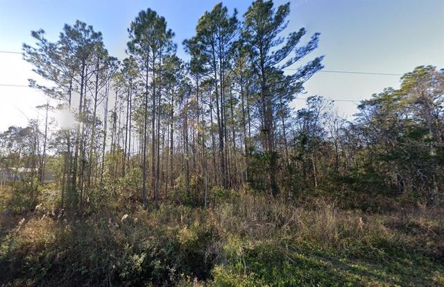 10445 AMOS AVENUE, Hastings, FL 32145
