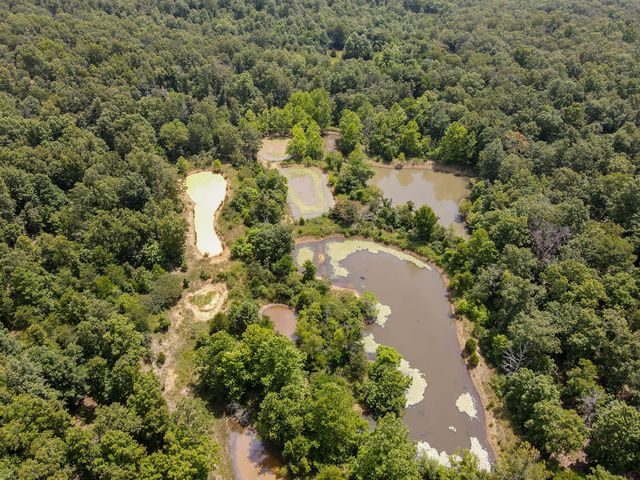 153 Private Road 204-184, Alton, MO 65606