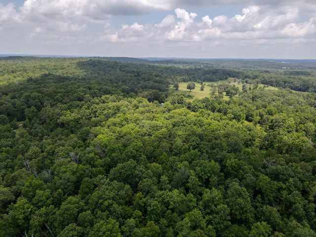 153 Private Road 204-184, Alton, MO 65606