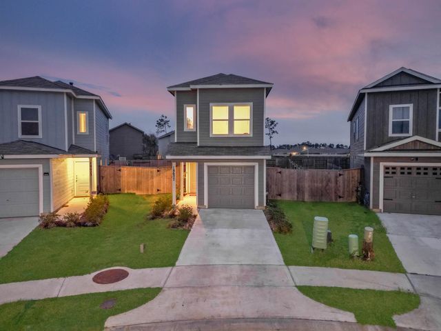 18627 San Salvo Drive Drive, New Caney, TX 77357