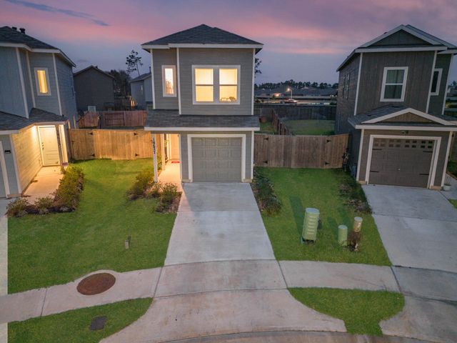 18627 San Salvo Drive Drive, New Caney, TX 77357