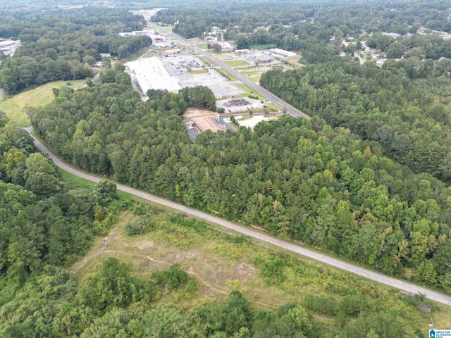 2950 HIGHWAY 431, Roanoke, AL 36274