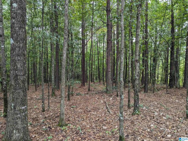 2950 HIGHWAY 431, Roanoke, AL 36274