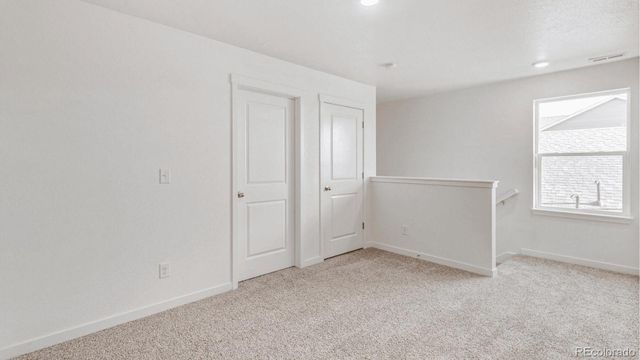 394 N Allium Street, Watkins, CO 80137