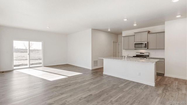 394 N Allium Street, Watkins, CO 80137