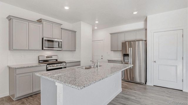 394 N Allium Street, Watkins, CO 80137