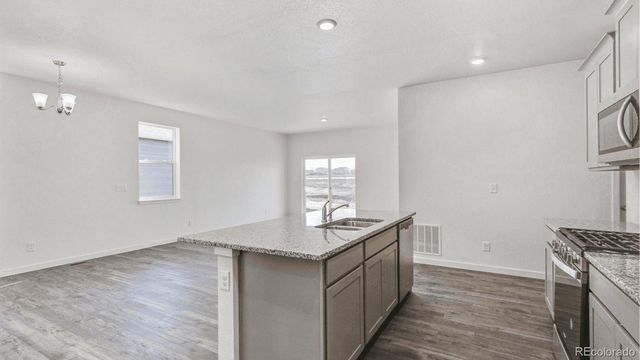 394 N Allium Street, Watkins, CO 80137