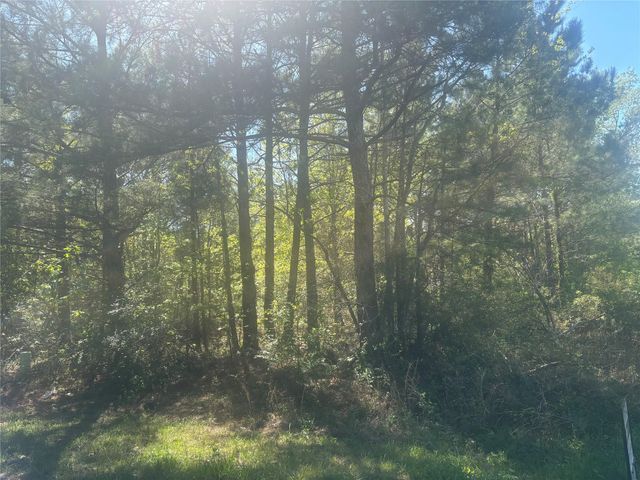 TBD Parkhurst Avenue, Cleveland, TX 77327