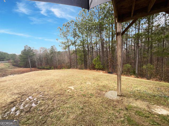 440 Huntleigh Shores Lane, Dallas, GA 30132