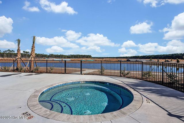 1241 Pampas Grass Drive Lot 468, Castle Hayne, NC 28429