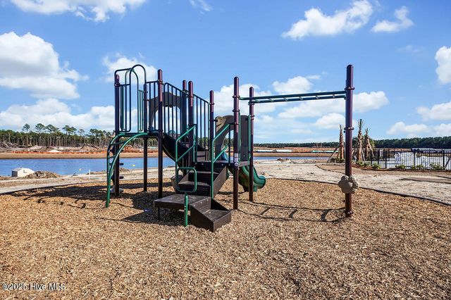 1241 Pampas Grass Drive Lot 468, Castle Hayne, NC 28429