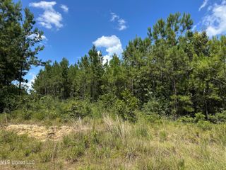 Ms-43, Poplarville, MS 39470