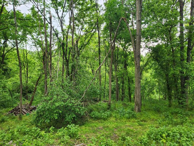 0 Thompson Hill Road, Bethpage, TN 37022