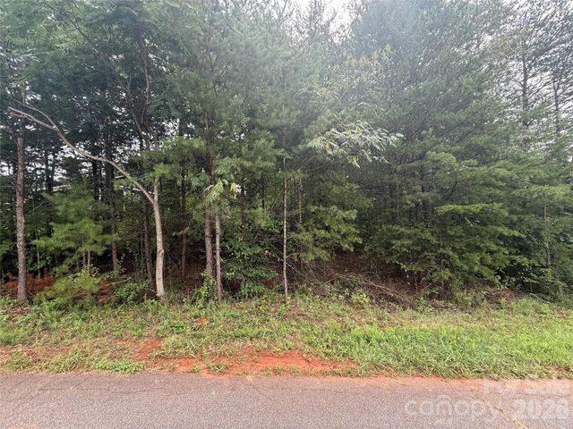 4356 Belmont Drive, Morganton, NC 28655