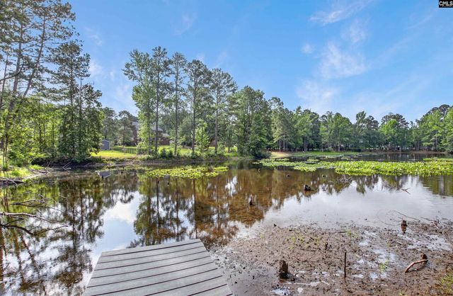 26 Sumner Street, Elgin, SC 29045