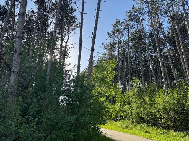 6254 61st Street S, Cottage Grove, MN 55016