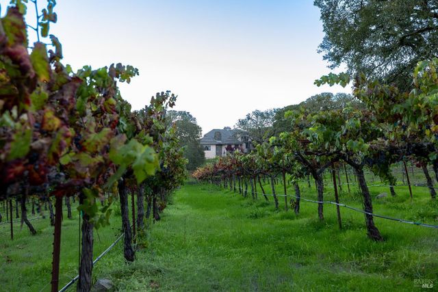 3295 Warm Springs Rd, Glen Ellen, CA 95442