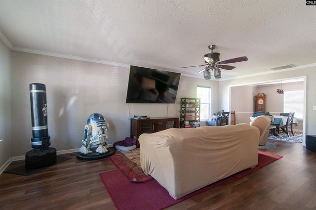 341 foxport Drive, Chapin, SC 29036