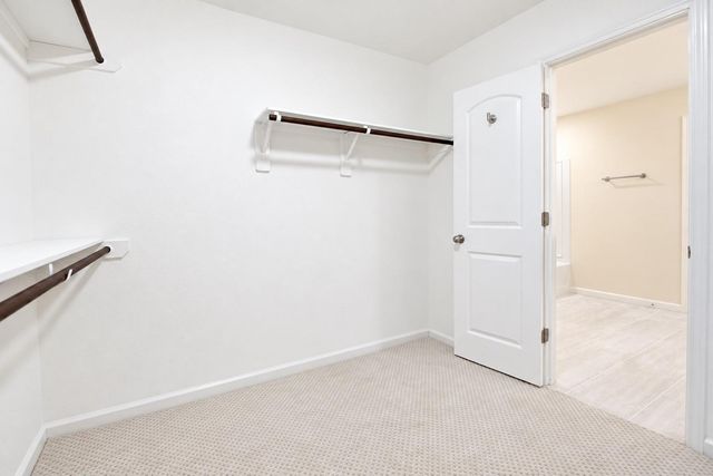 5612 Rainflower Terrace Lane, Spring, TX 77389