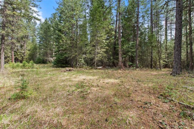 NKA Lenora Dr, Usk, WA 99180