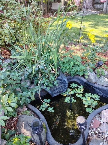 4 Laurel Street, Woburn, MA 01801