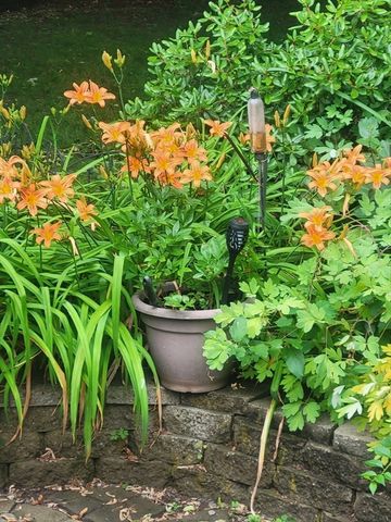 4 Laurel Street, Woburn, MA 01801