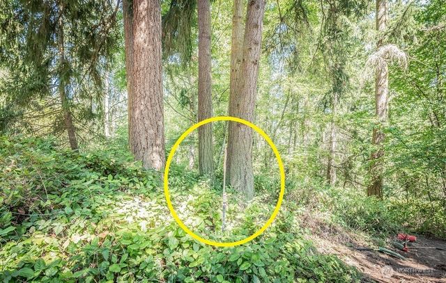 28 Buckhorn Place, Port Townsend, WA 98368