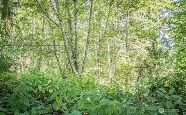 28 Buckhorn Place, Port Townsend, WA 98368