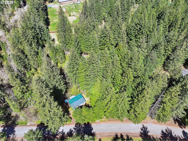 51 FOSTER Rd, Carson, WA 98610