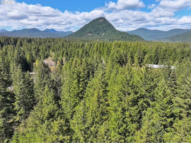 51 FOSTER Rd, Carson, WA 98610