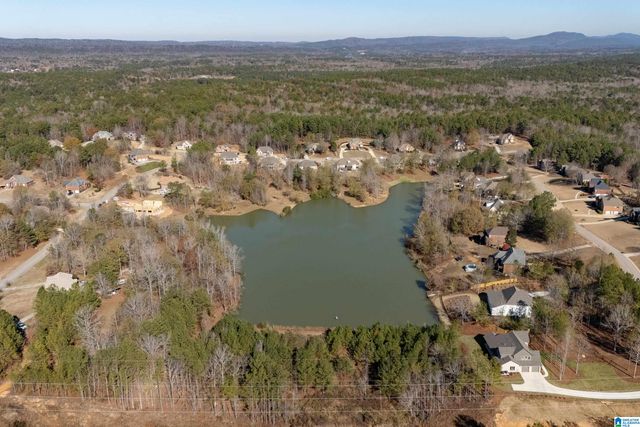 620 EMERALD TRACE, Chelsea, AL 35043