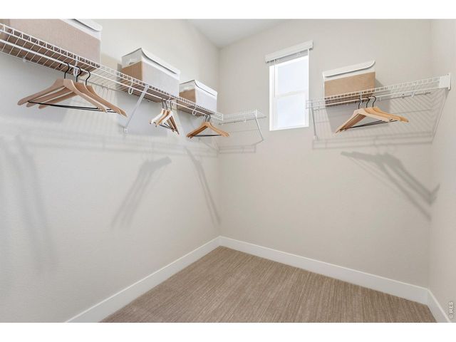 996 Nettle Ln, Fort Collins, CO 80524