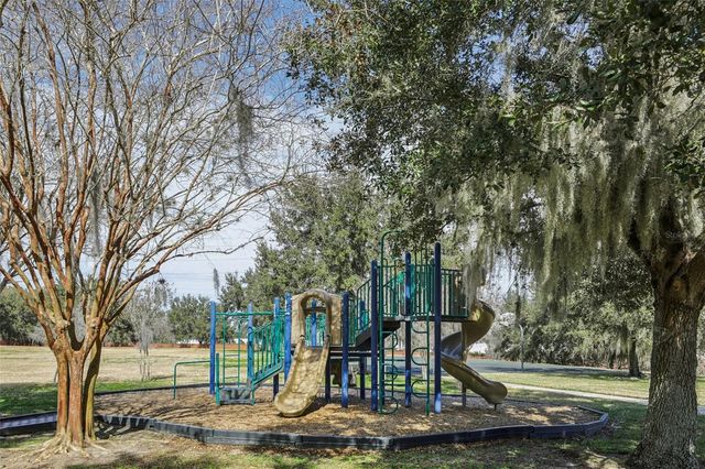 3207 ZANDER DRIVE, Grand Island, FL 32735